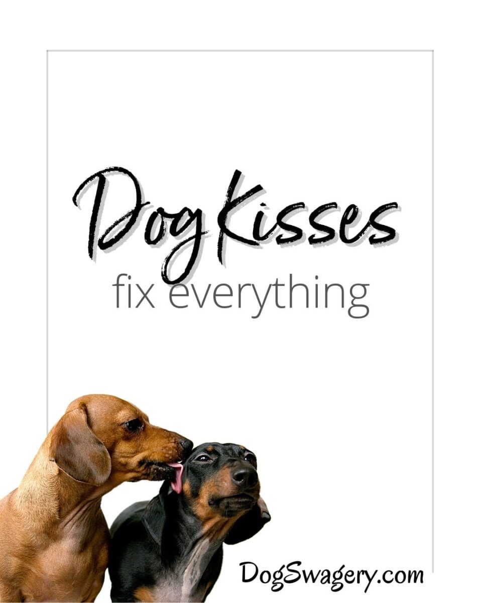 Dog Quote: Dog Kisses Fix Everything