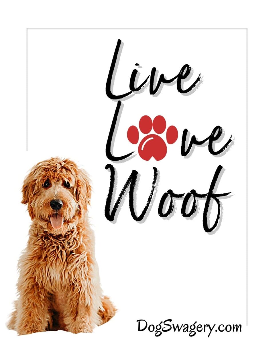 Dog Quote: Live Love Woof