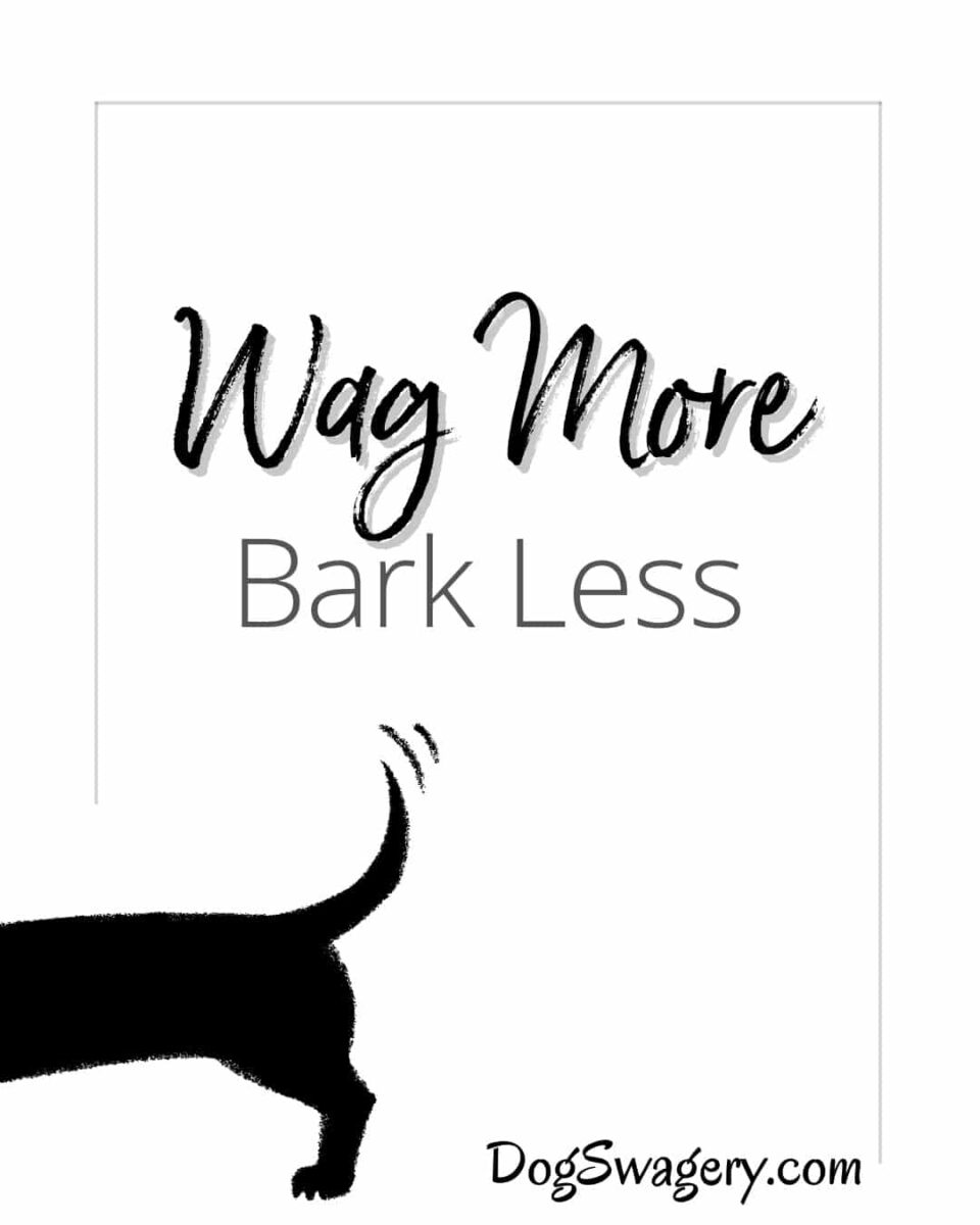 Dog Quote: Wag more bark less
