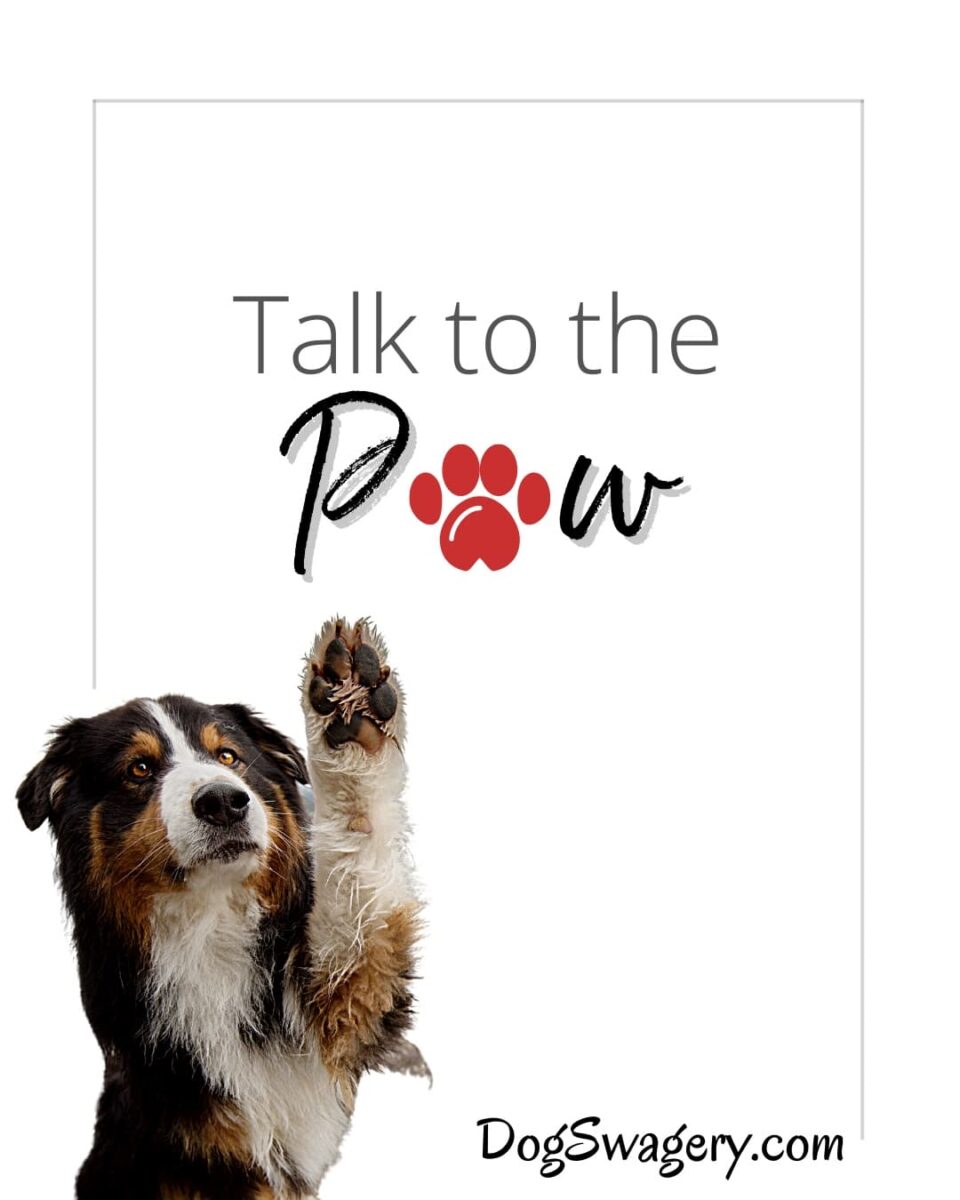 Dog Quote: Talk to the Paw