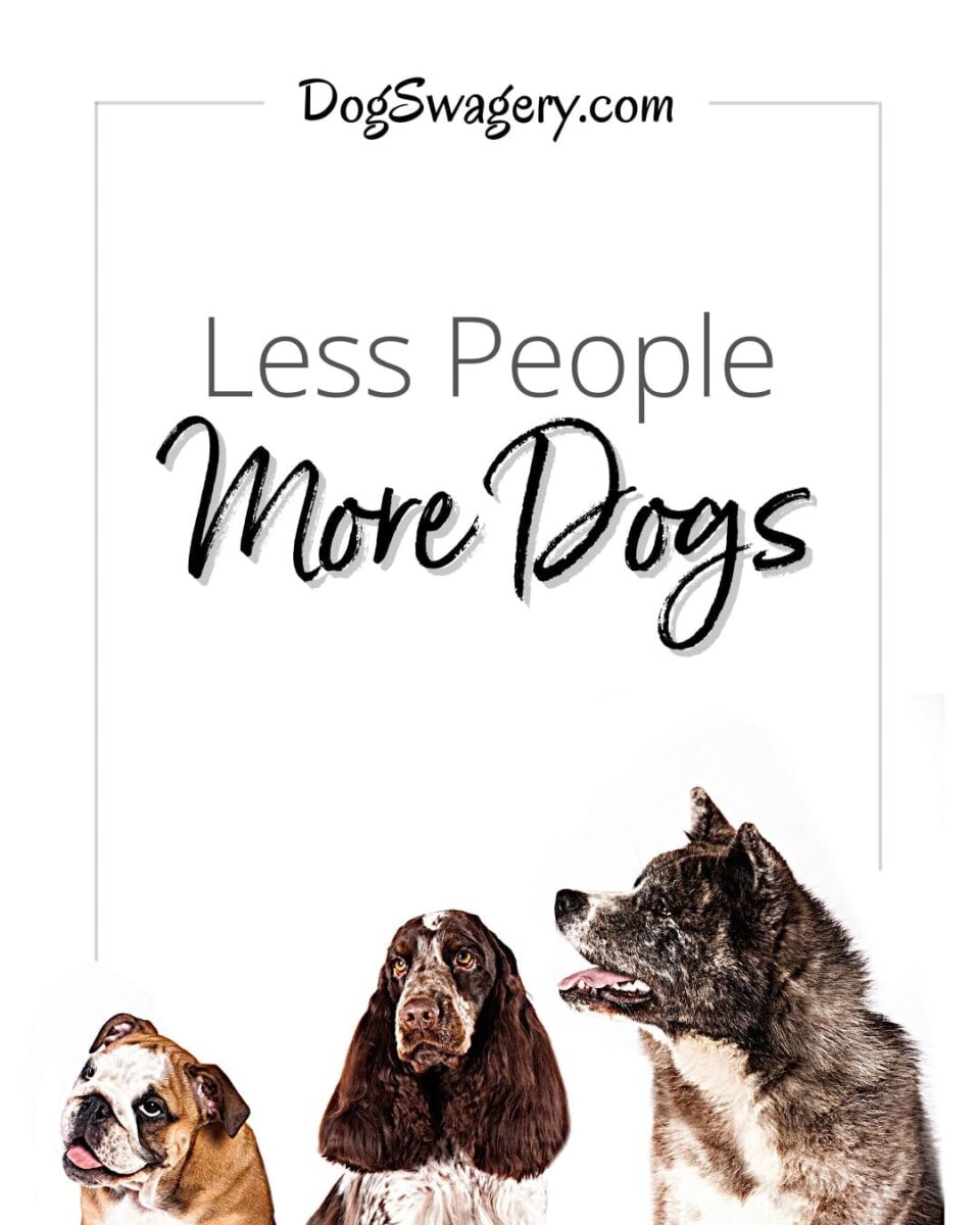 Dog Quote: Less People more dogs