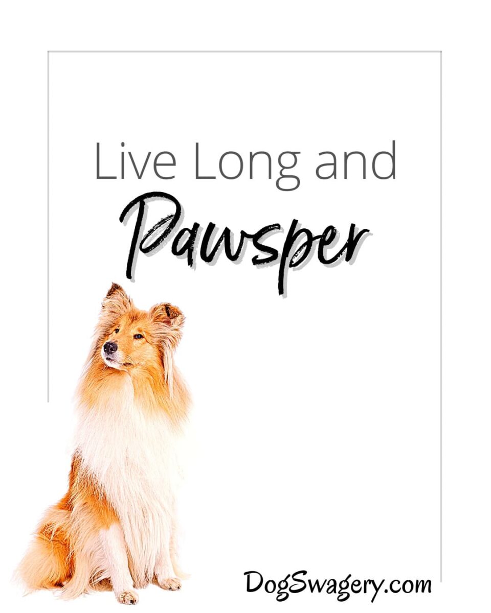 Dog Quote: Live long and paswper