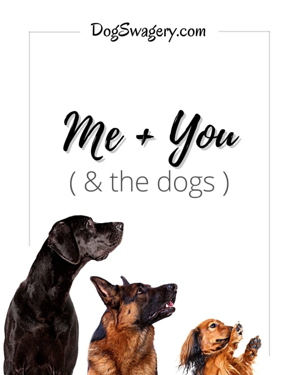 Dog Quote: Me & You ... and the dogs