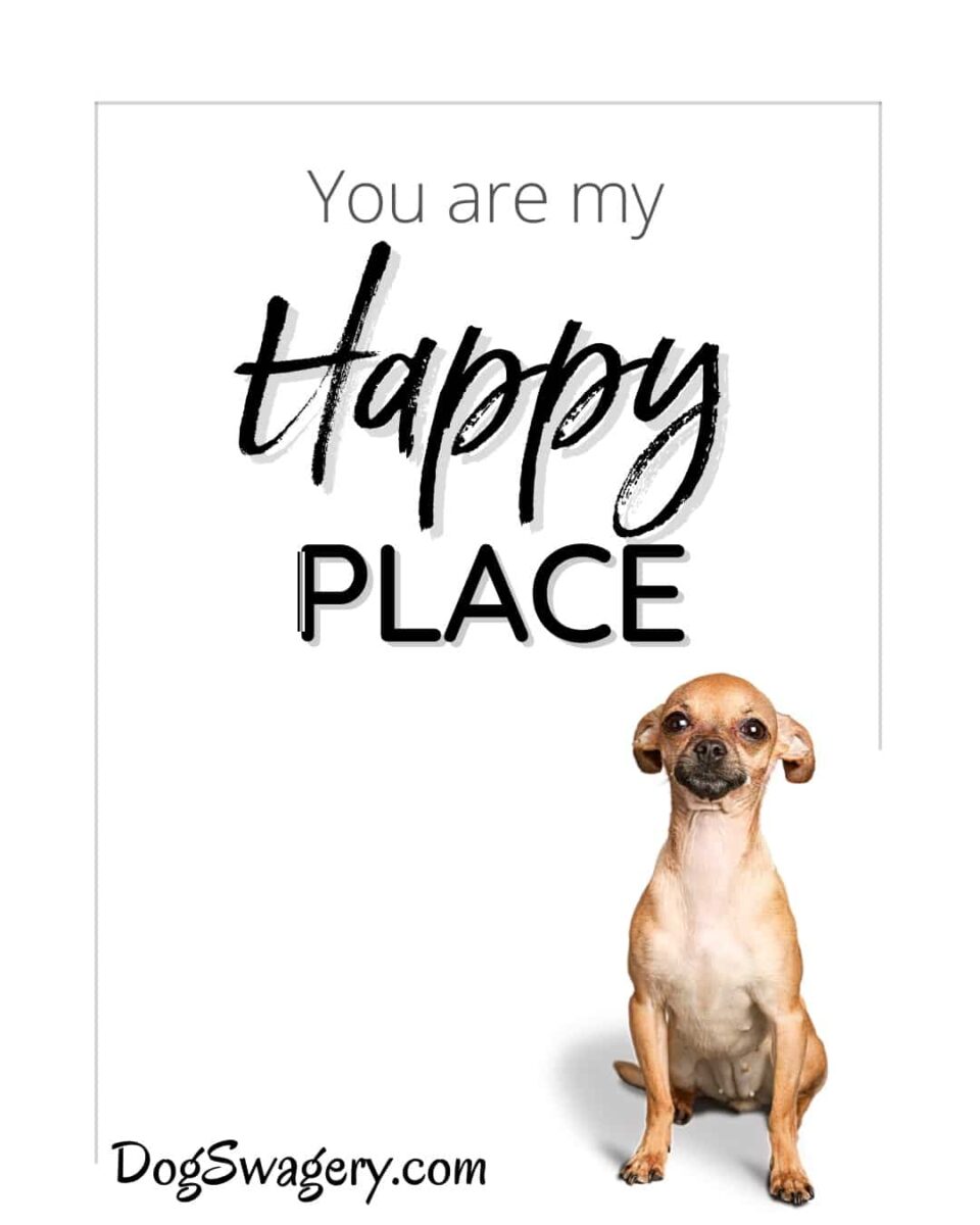 Dog Quote: You are my happy place