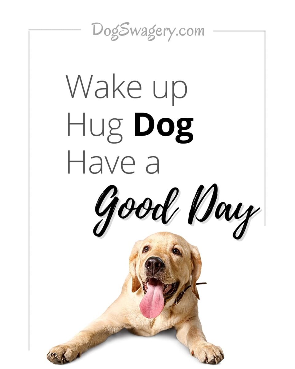 Dog Quote: Wake up Hug Dog Have a good day