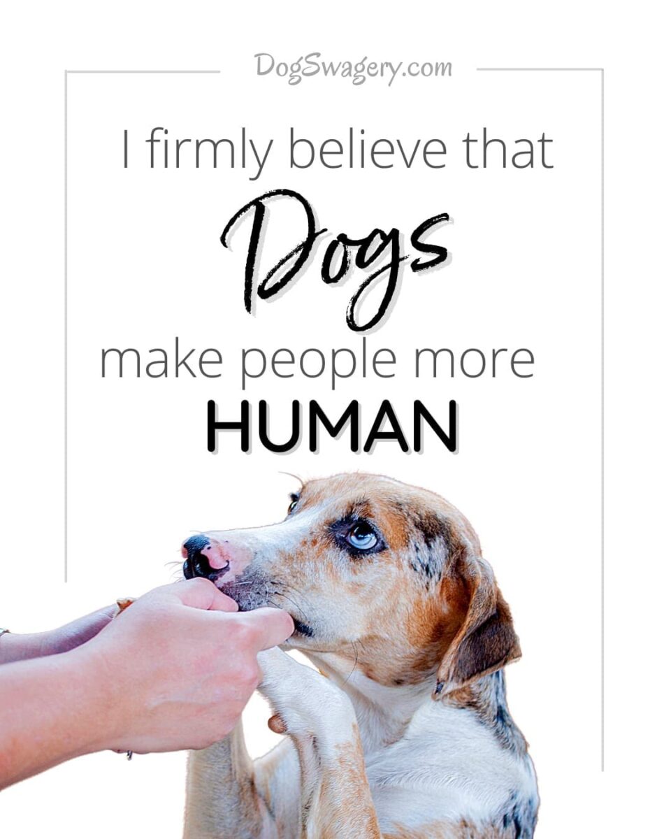 Dog Quote: I firmly believe that dogs make people more human.