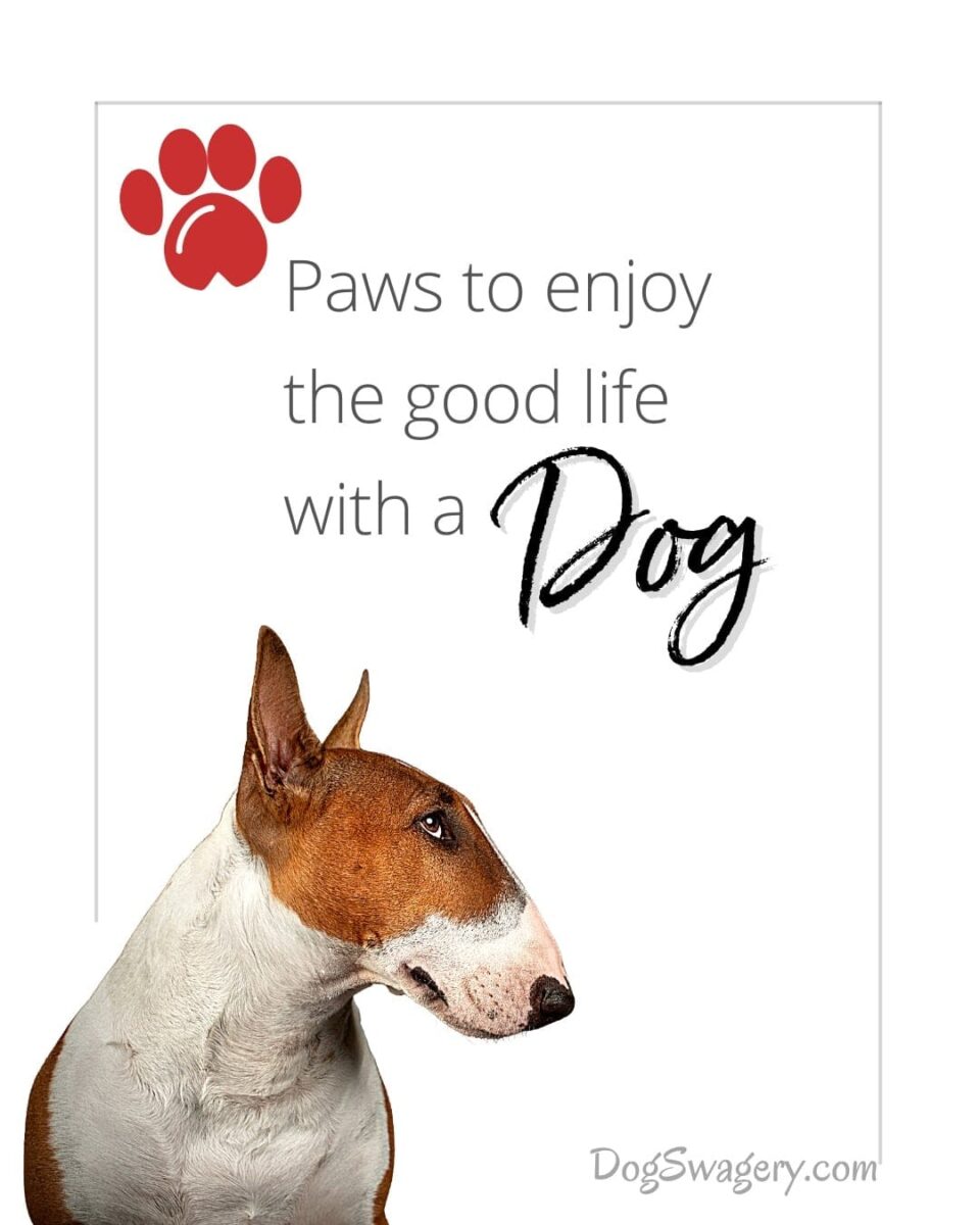 Dog Quote: Paws to enjoy the good life with a dog.