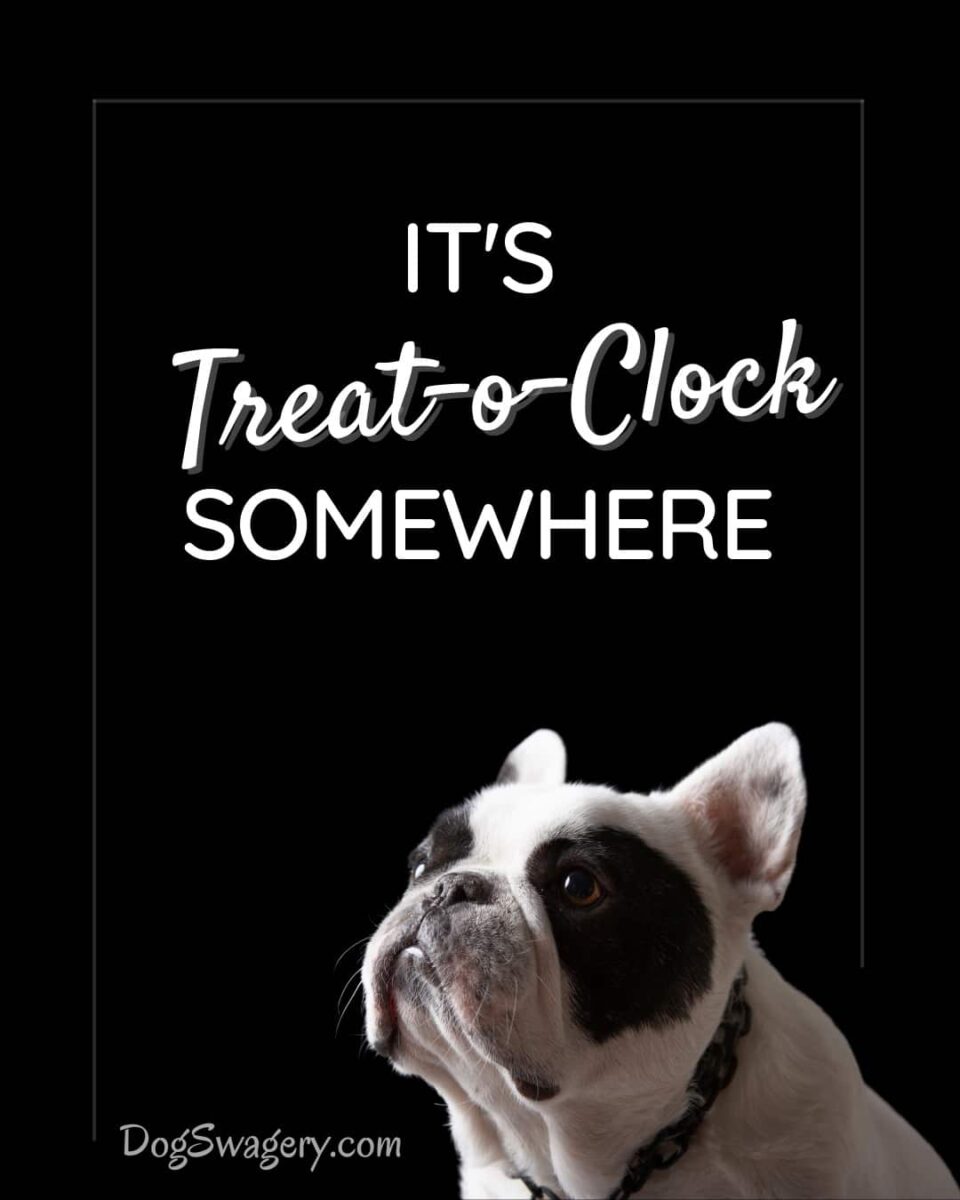 Dog Quote: It’s treat-o-clock somewhere.