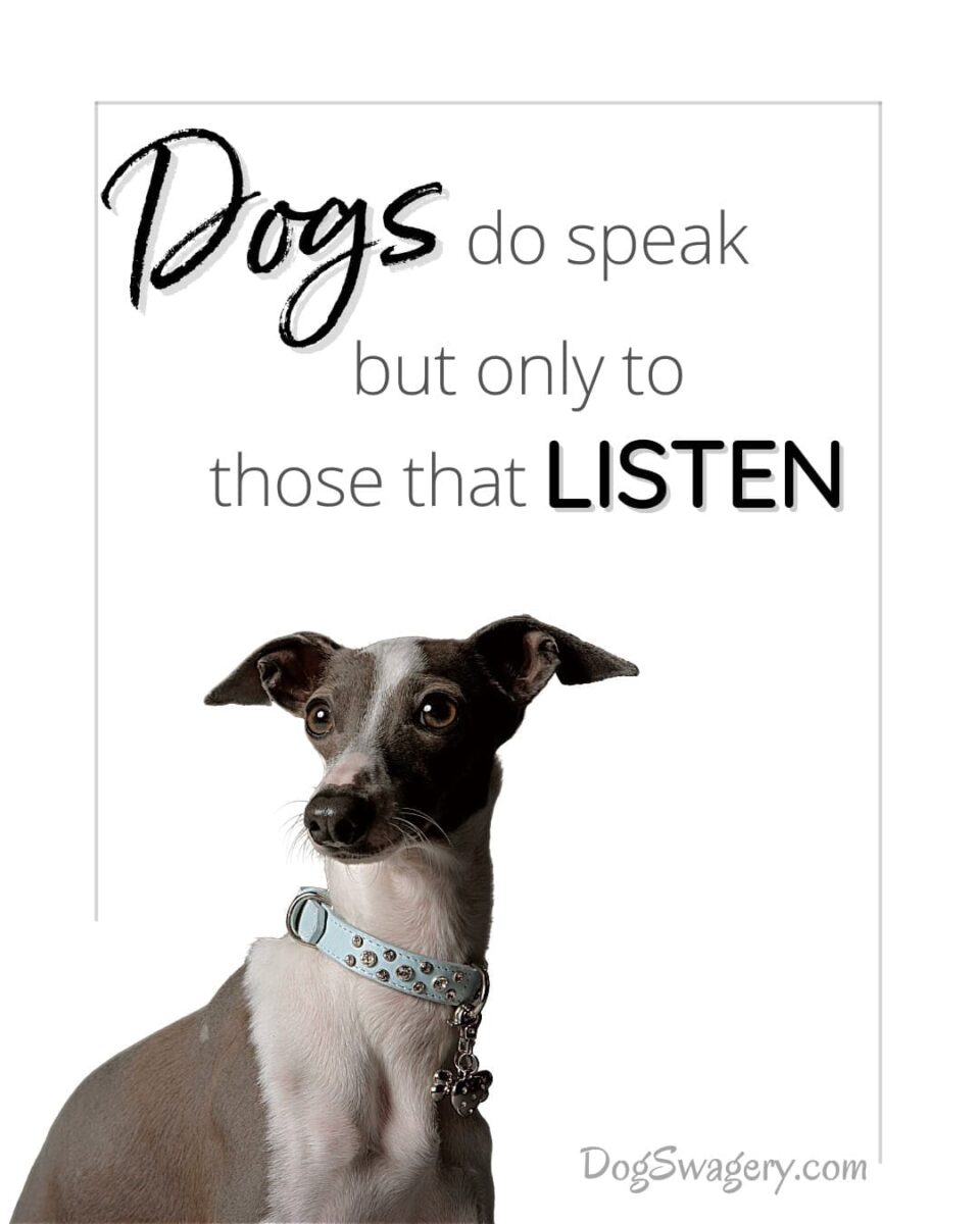 Dog Quote: Dogs do speak but only to those that listen.