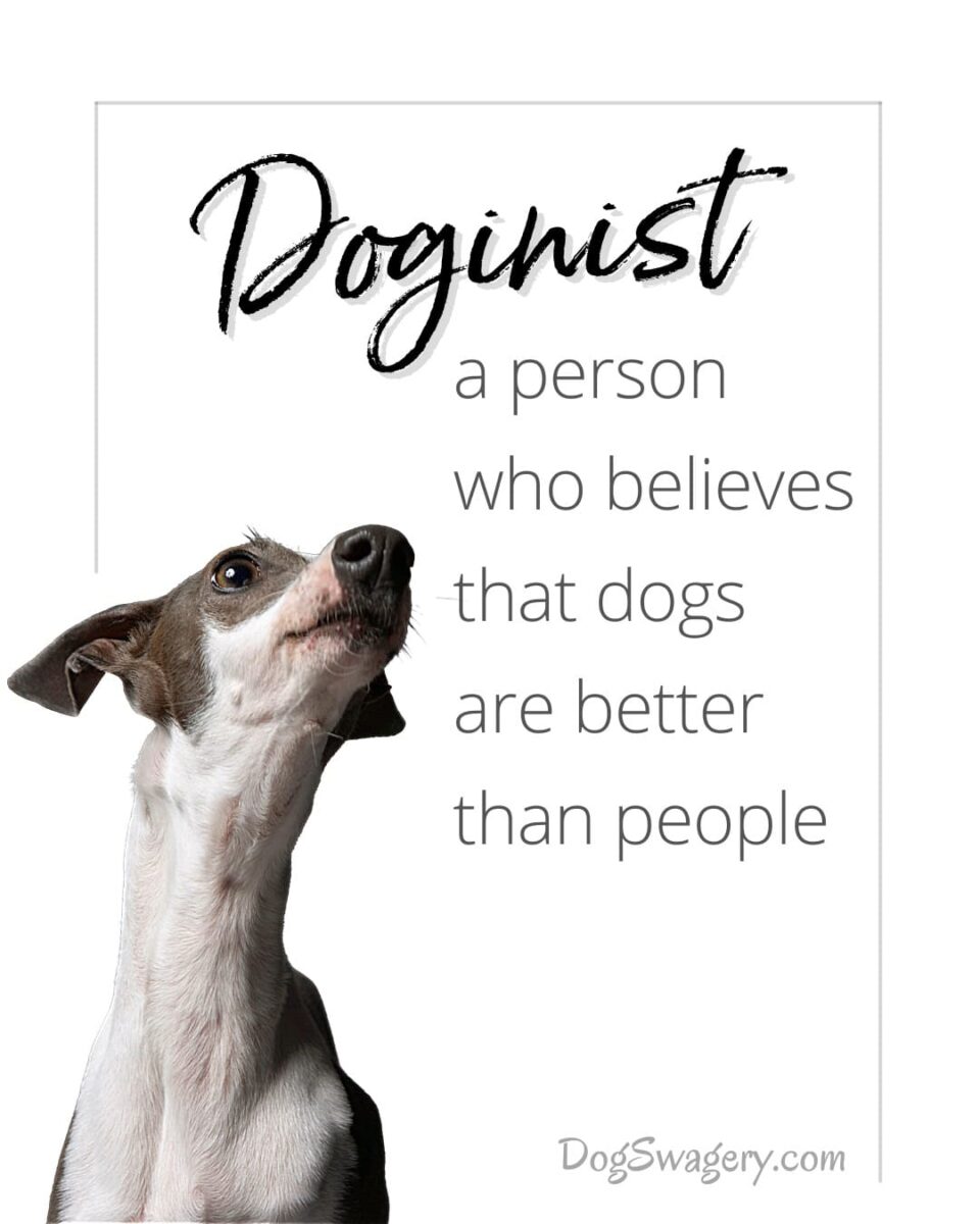 Dog Quote: Doginist: a person who believes that dogs are better than people.