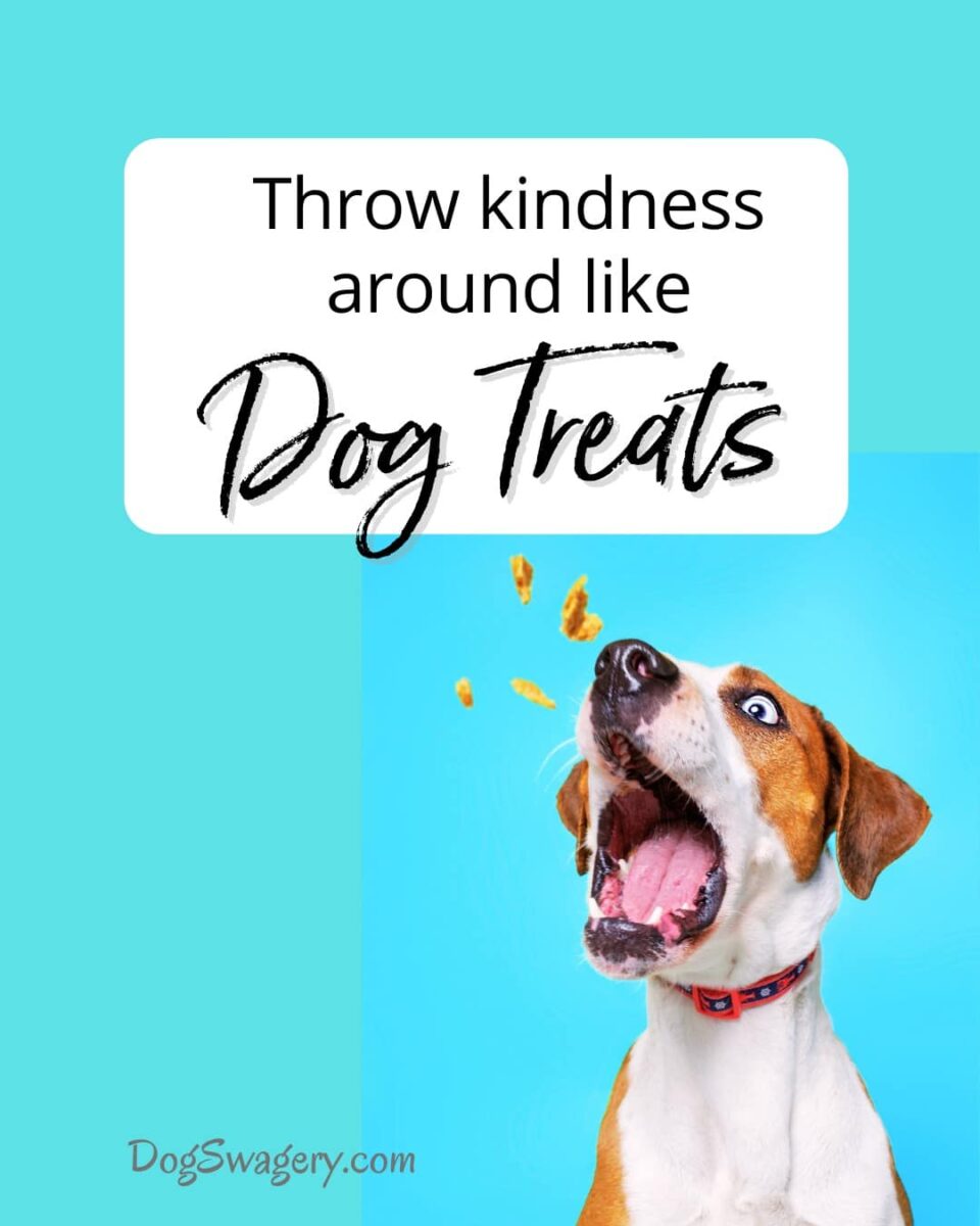 Dog Quote: Throw kindness around like dog treats.