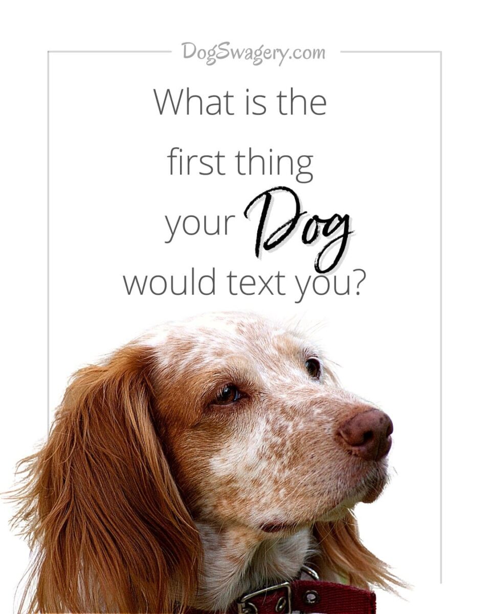 Dog Quote: What is the first thing your dog would text you?