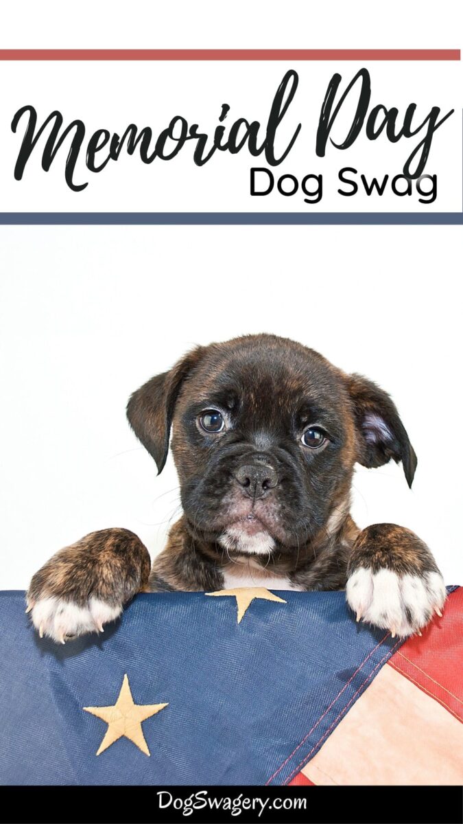 Memorial Day Dog Swag