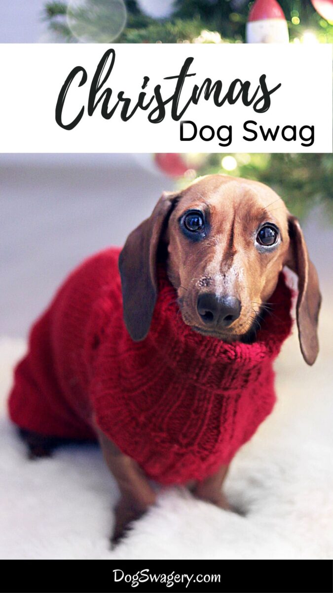 Christmas Dog Swag