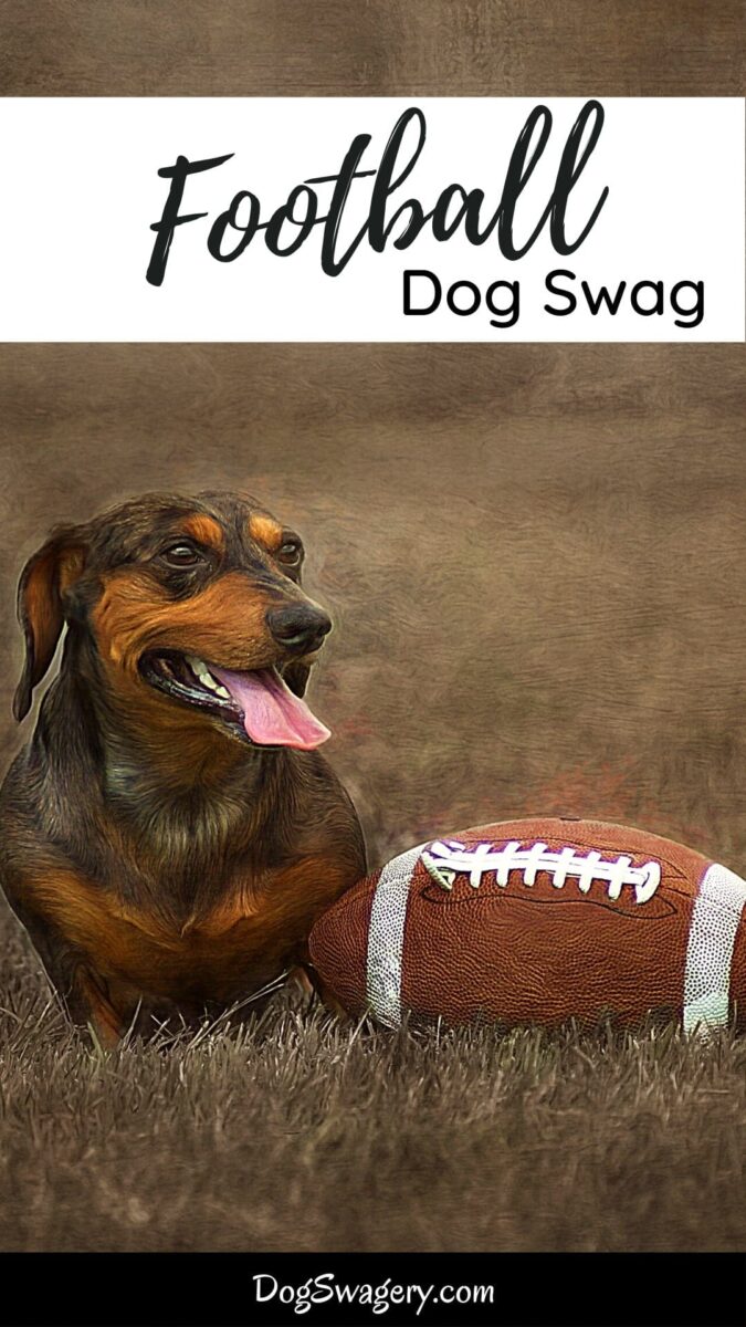 Football Dog Swag