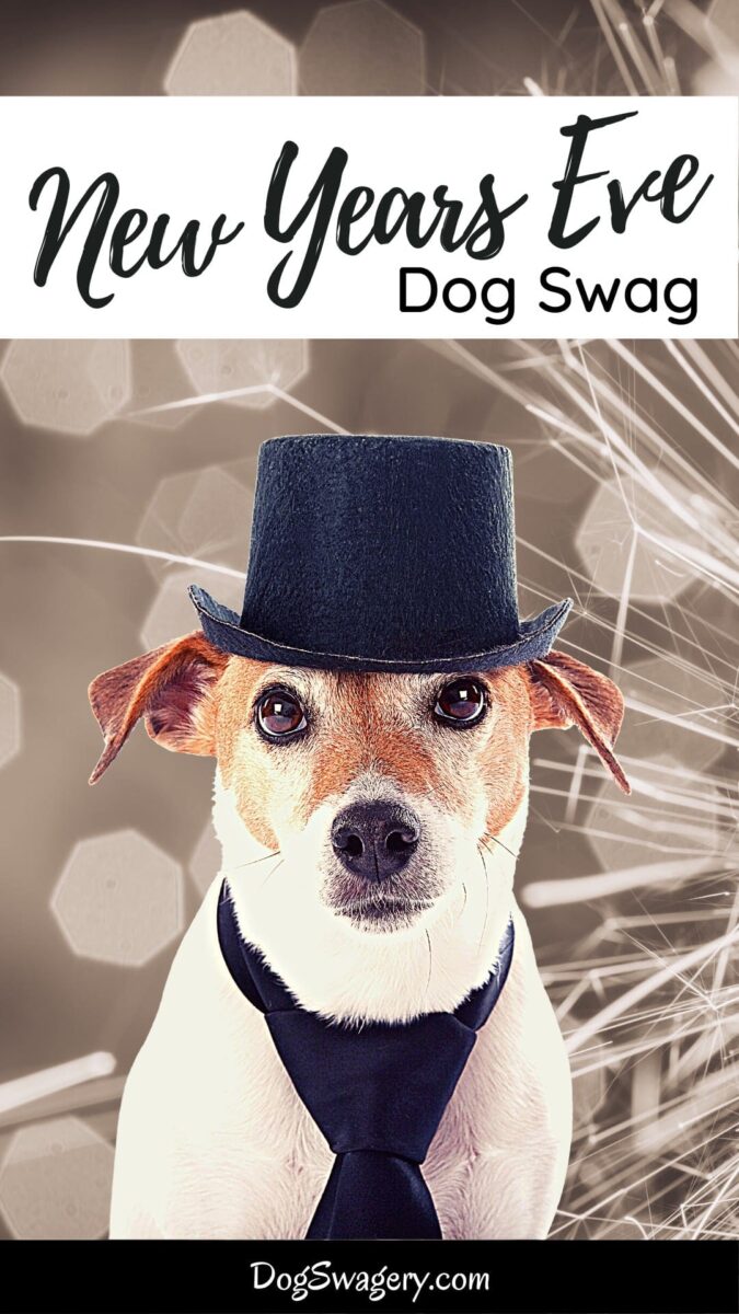 New Years Eve Dog Swag