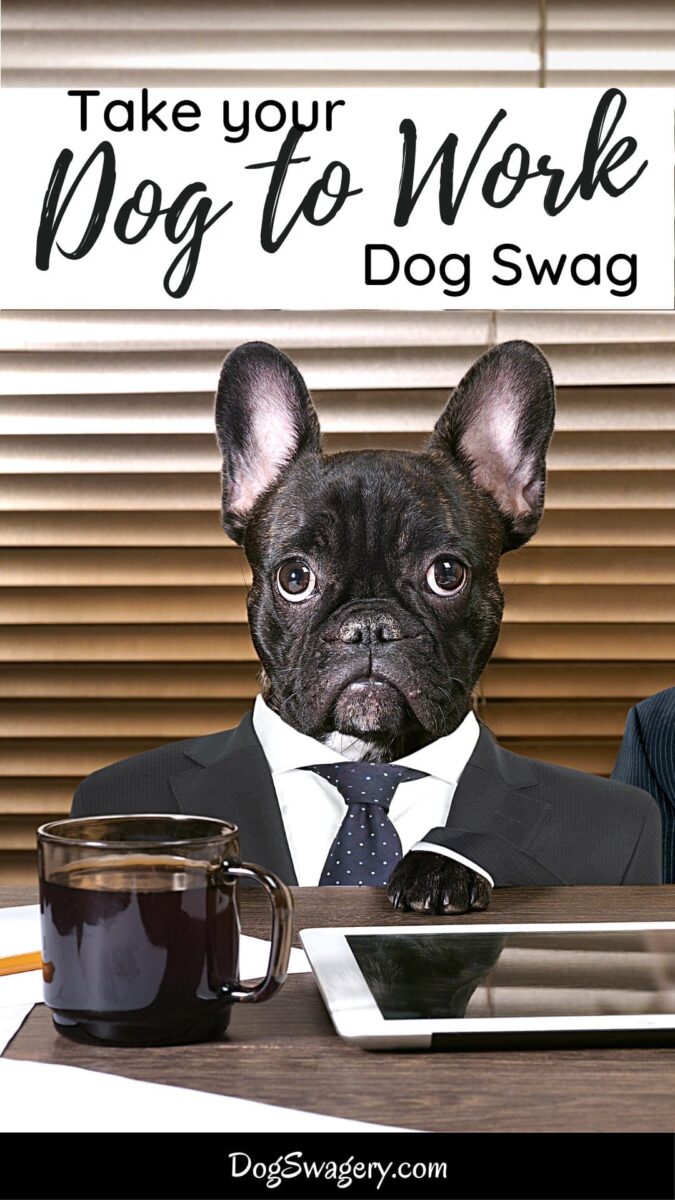 Take your Dog to Work Dog Swag