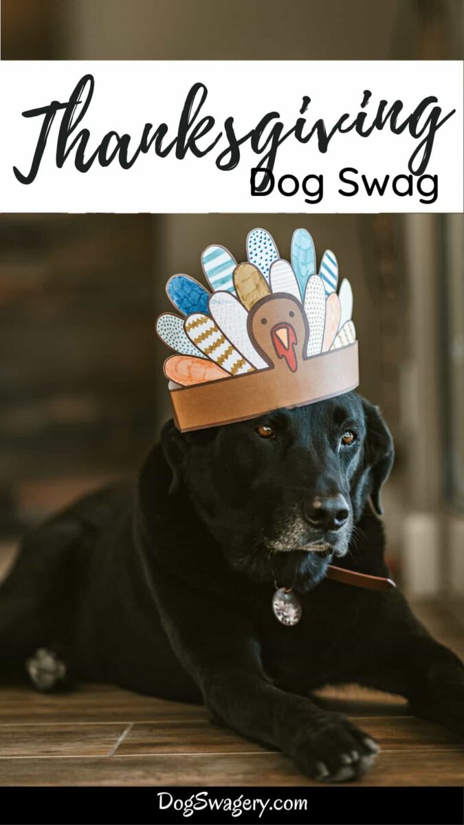 Thanksgiving Dog Swag