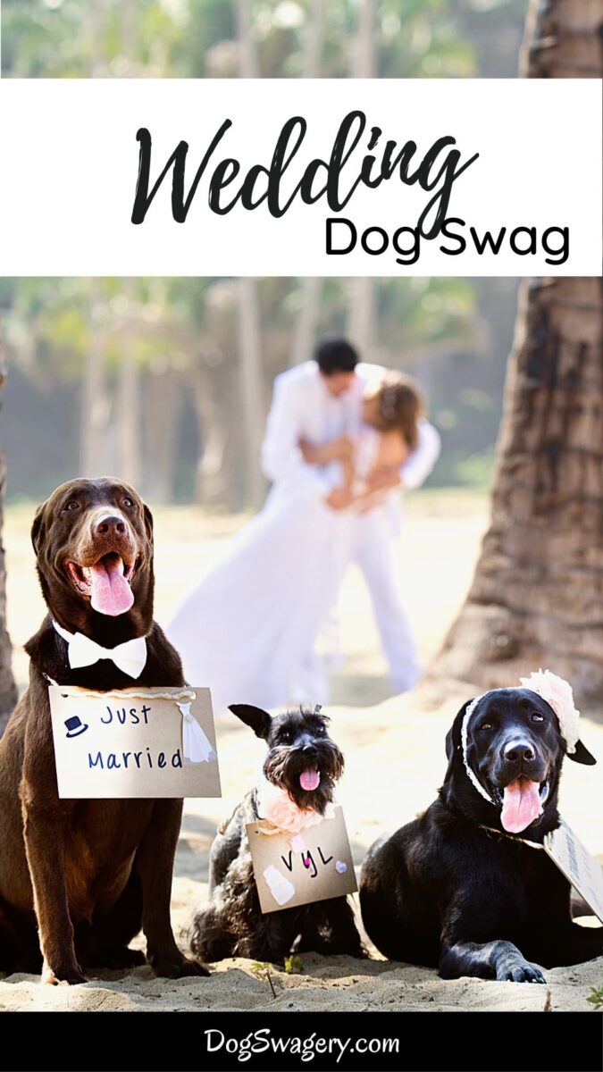 Wedding Dog Swag