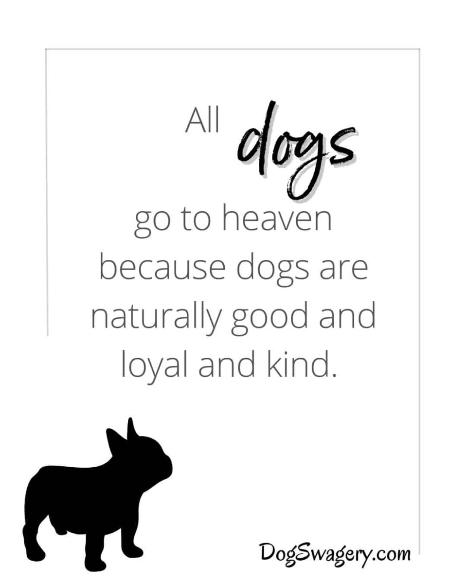 Dog Quotes about Loss: All dogs go to heaven because dogs are naturally good and loyal and kind.