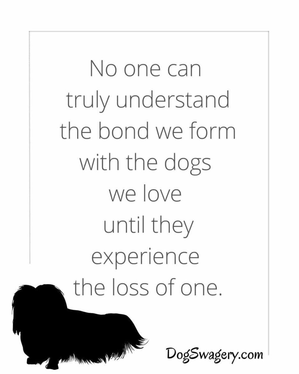 Dog Quotes about Loss: No one can truly understand the bond we form with the dogs we love until they experience the loss of one.
