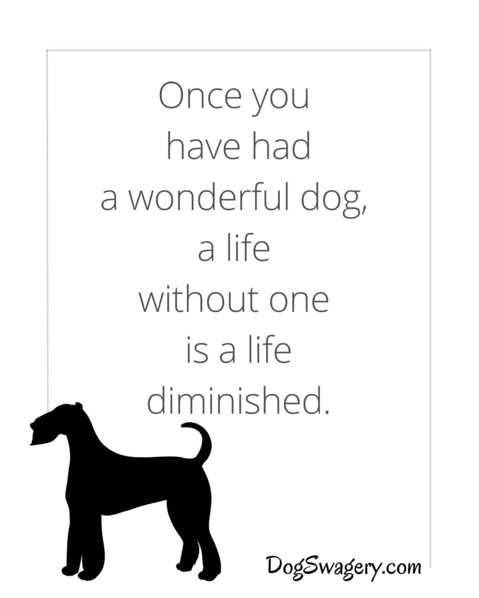 Dog Quotes about Loss: Once you have had a wonderful dog, a life without one is a life diminished.