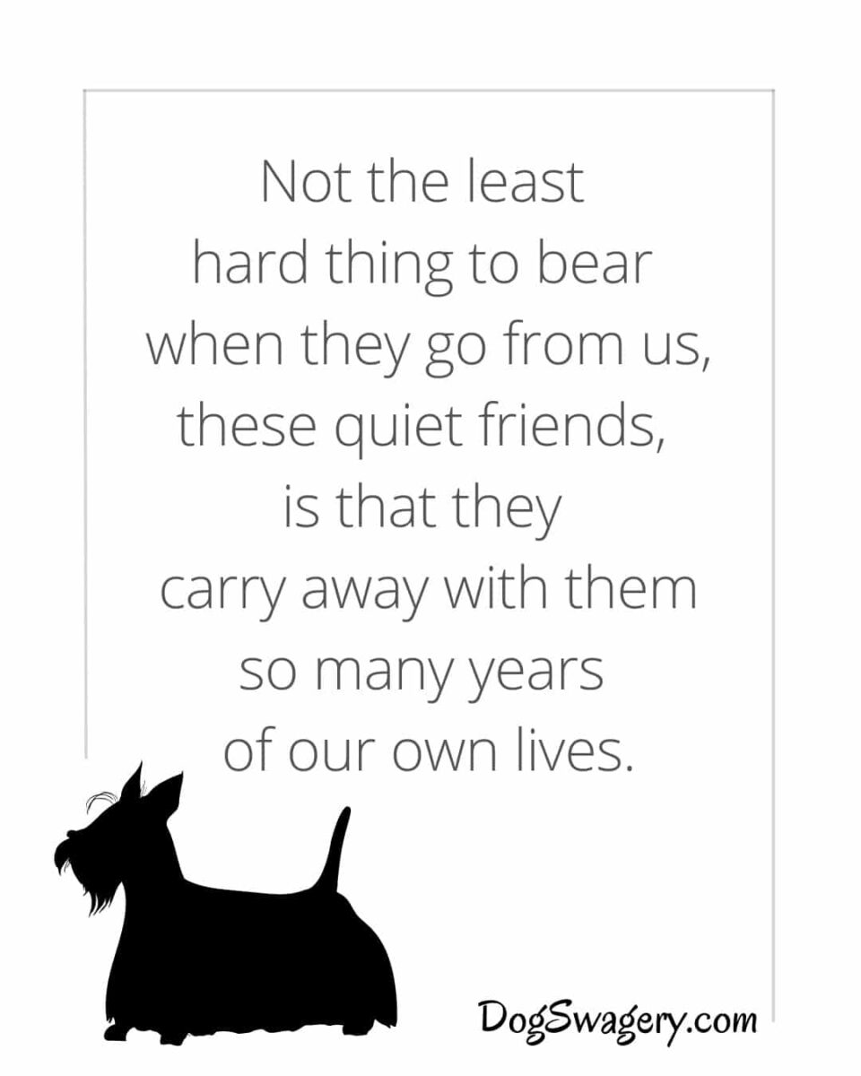 Dog Quotes about Loss: Not the least hard thing to bear when they go from us, these quiet friends, is that they carry away with them so many years of our own lives.