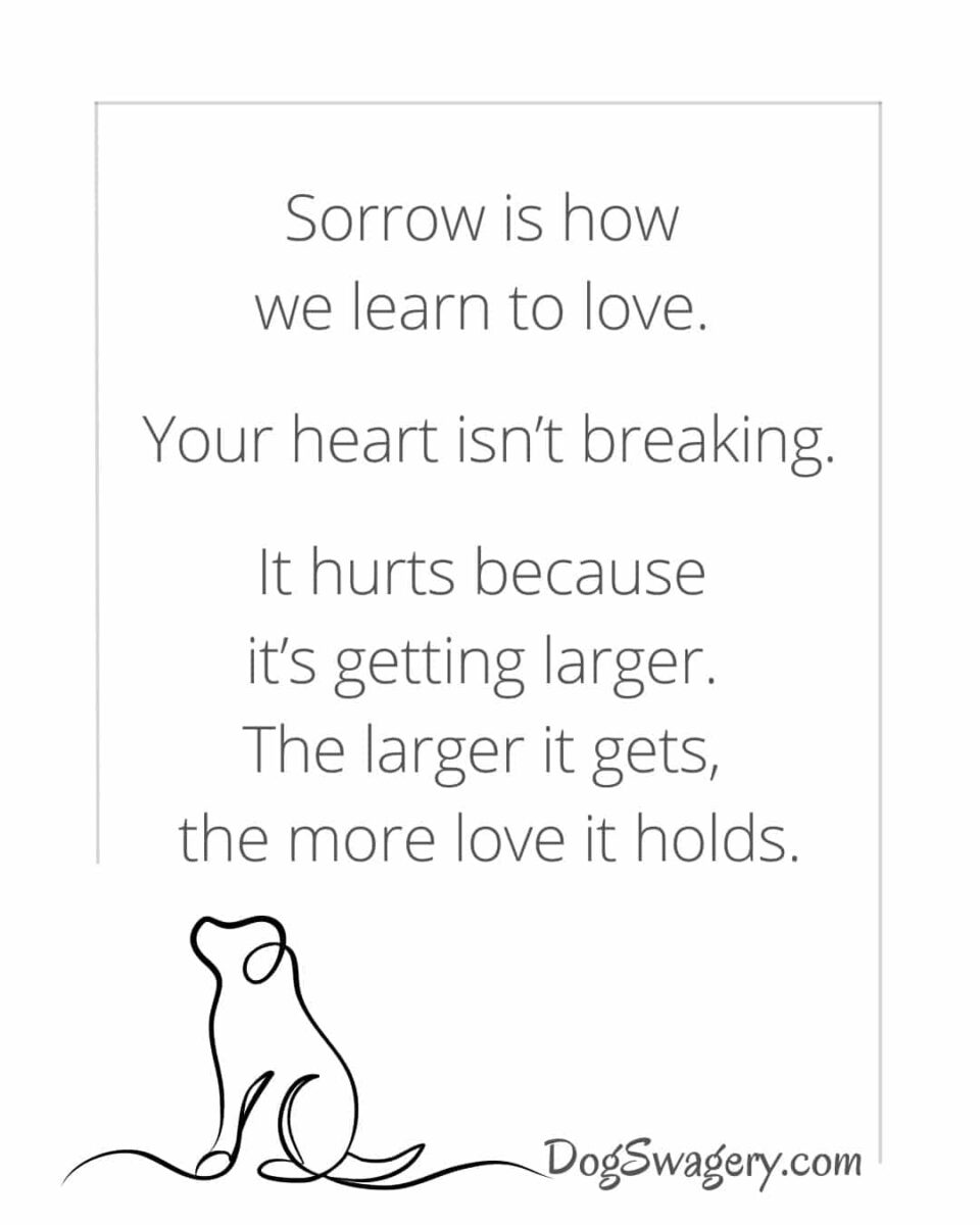Dog Quotes about Loss: Sorrow is how we learn to love. Your heart isn’t breaking. It hurts because it’s getting larger. The larger it gets, the more love it holds.