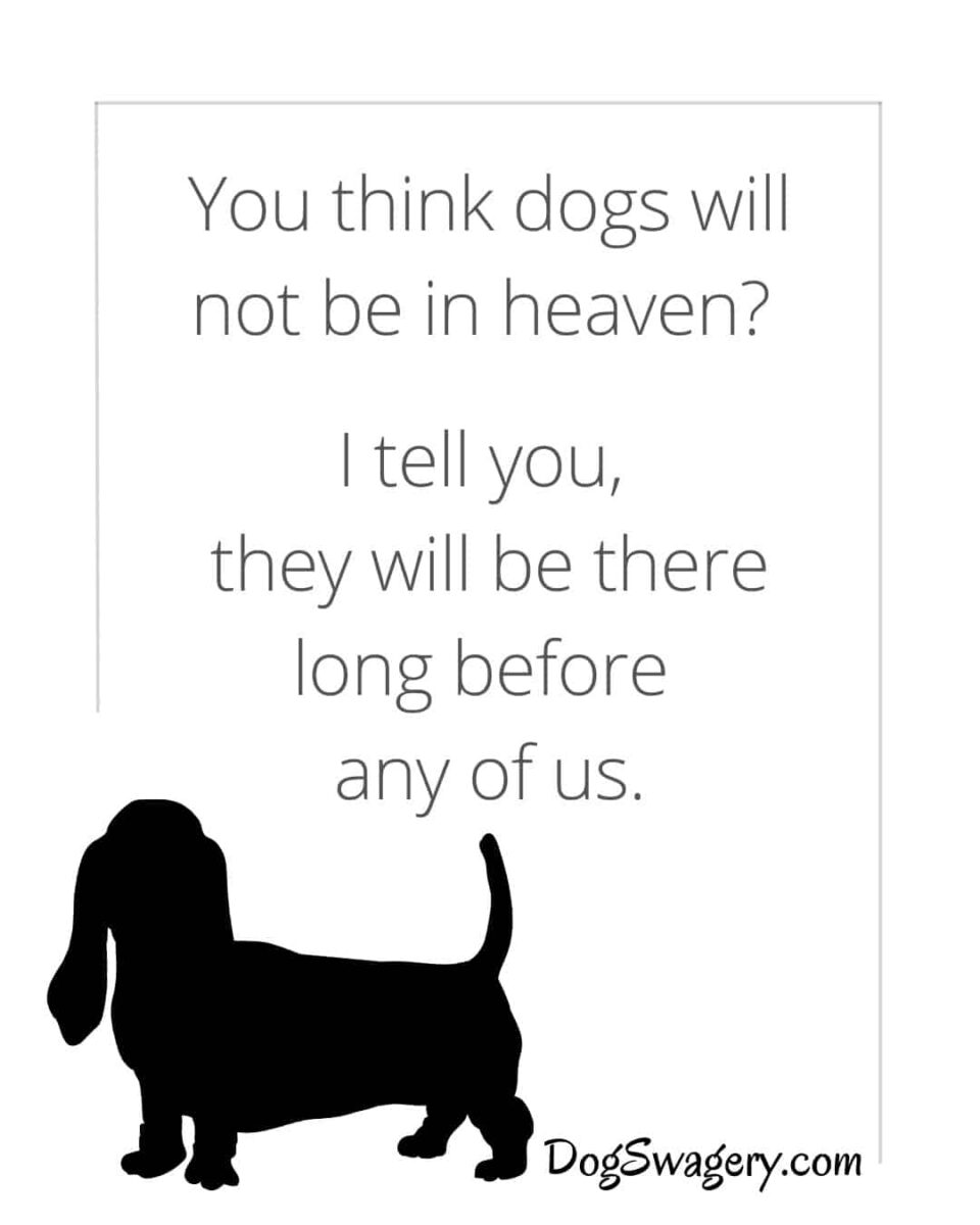 Dog Quotes about Loss: You think dogs will not be in heaven? I tell you, they will be there long before any of us.