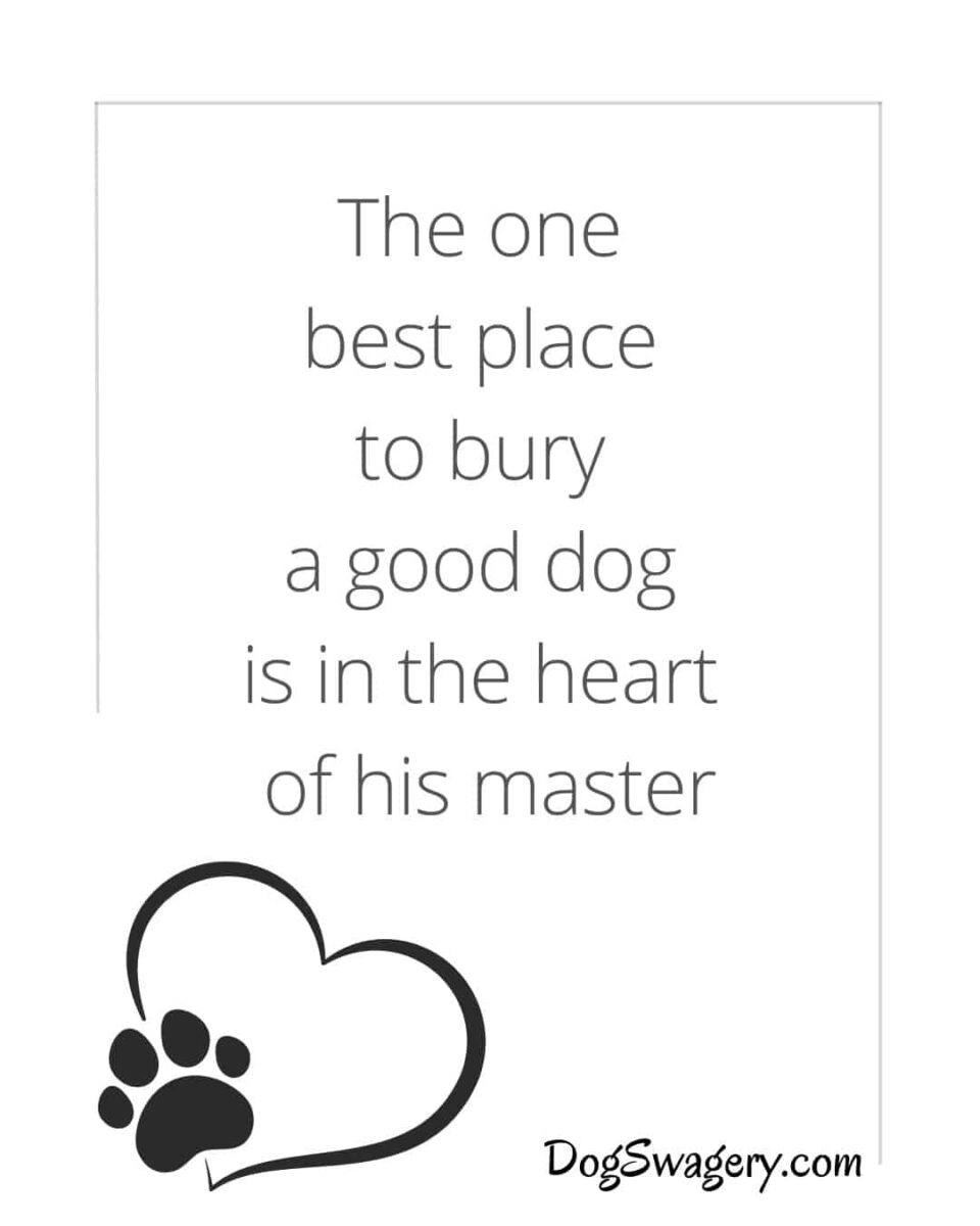Dog Quotes about Loss: The one best place to bury a good dog is in the heart of his master.
