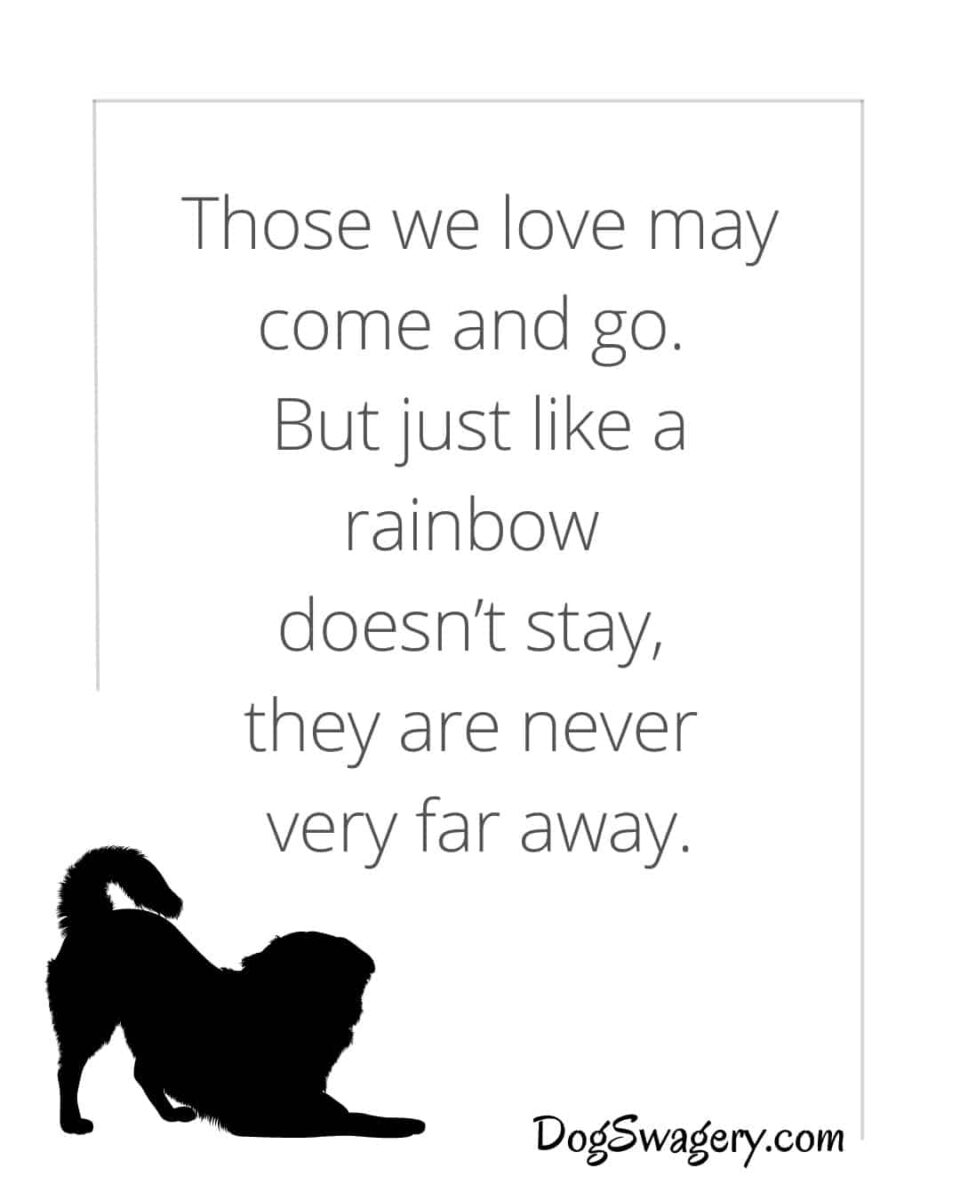 Dog Quotes about Loss: Those we love may come and go, but just like a rainbow doesn’t stay. They’re never very far away.