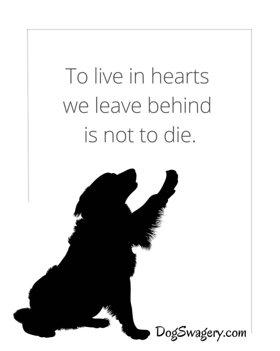 Dog Quotes about Loss: To live in hearts we leave behind is not to die.