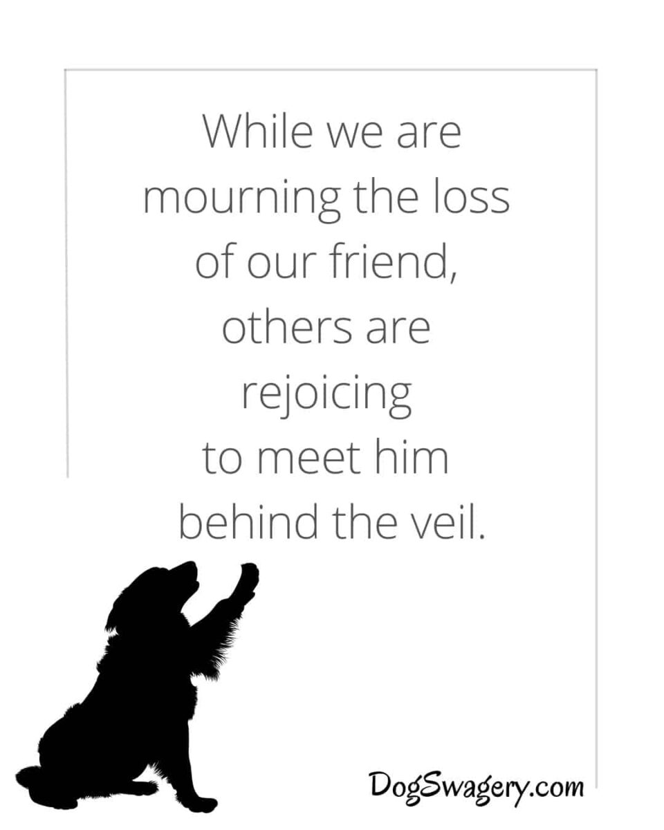 Dog Quotes about Loss: While we are mourning the loss of our friend, others are rejoicing to meet him behind the veil.