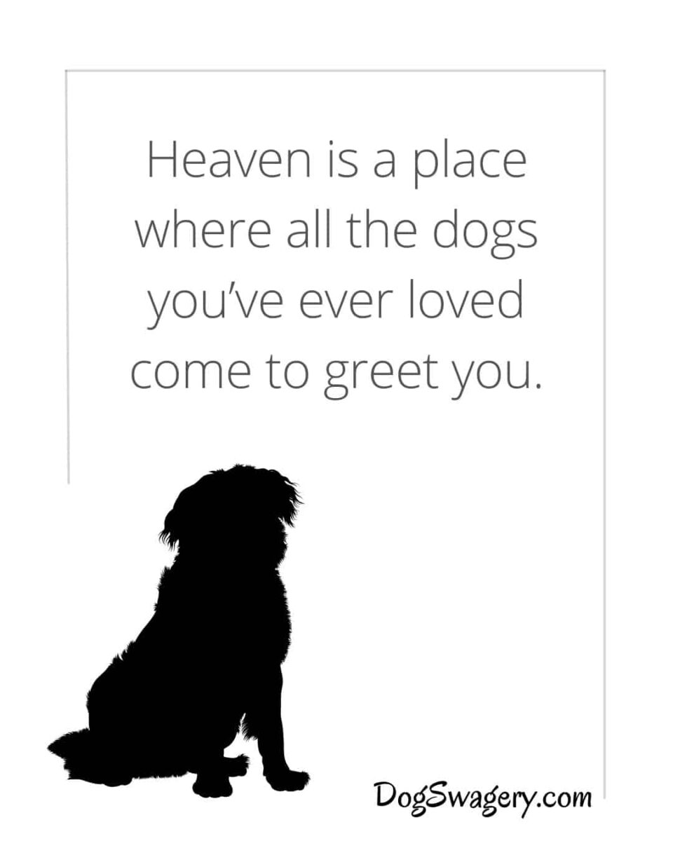 Dog Quotes about Loss: Heaven is a place where all the dogs you’ve ever loved come to greet you.