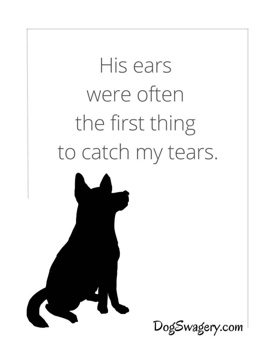 Dog Quotes Loss: His ears were often the first thing to catch my tears.