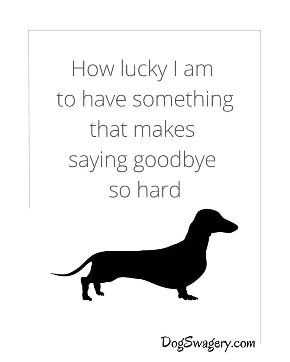 Dog Quotes Loss: How lucky I am to have something that makes saying goodbye so hard.