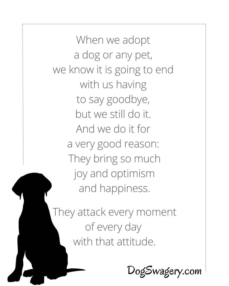 Dog Quotes about Loss: When we adopt a dog or any pet, we know it is going to end with us having to say goodbye, but we still do it. And we do it for a very good reason: They bring so much joy and optimism and happiness. They attack every moment of every day with that attitude.