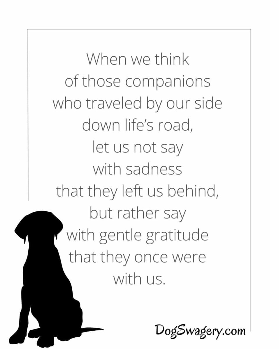 Dog Quotes Loss: When we think of those companions who traveled by our side down life’s road, let us not say with sadness that they left us behind, but rather say with gentle gratitude that they once were with us.