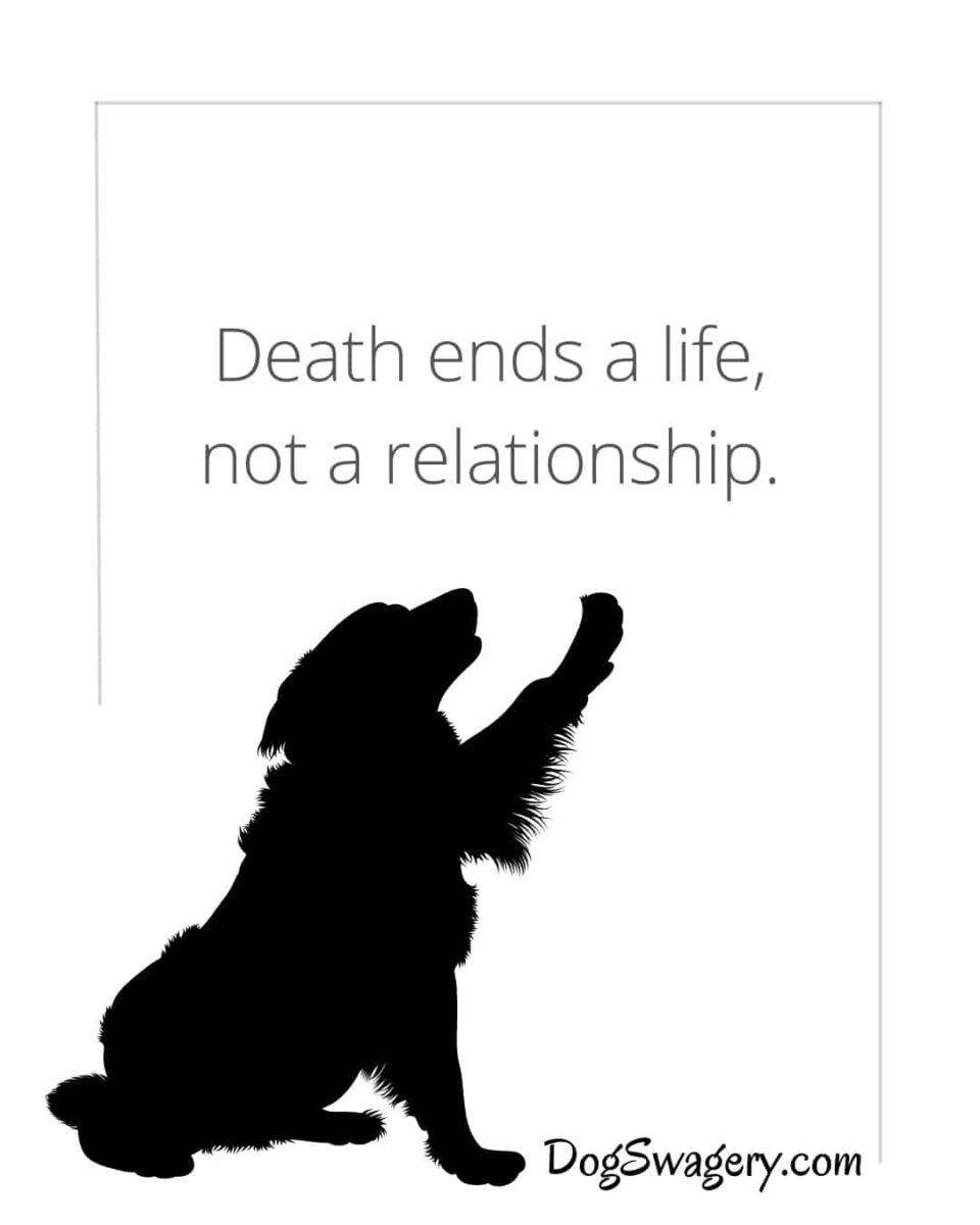 Dog Quotes about Loss: Death ends a life, not a relationship.