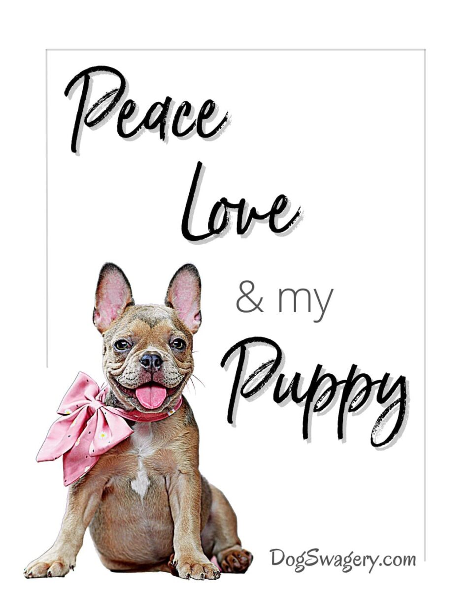 Dog Quotes about Puppies: Peace, love, and my puppy.