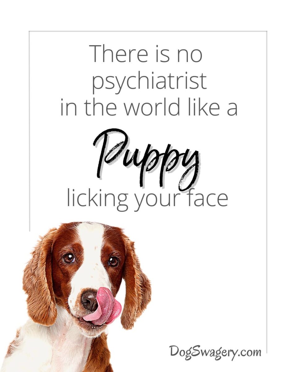 Dog Quotes about Puppies: There is no psychiatrist in the world like a puppy licking your face.
