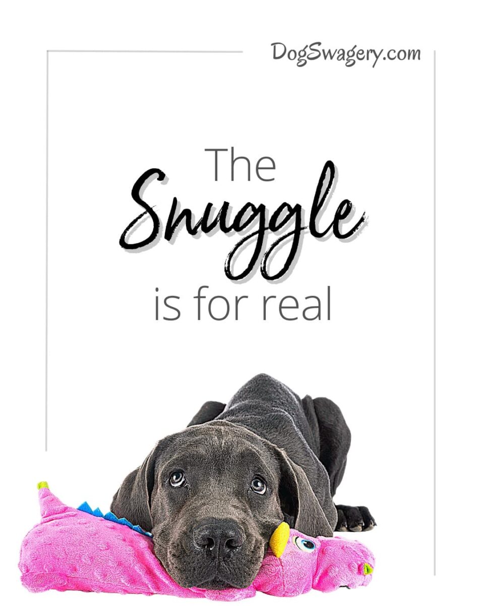 Dog Quotes about Puppies: The snuggle is so real.