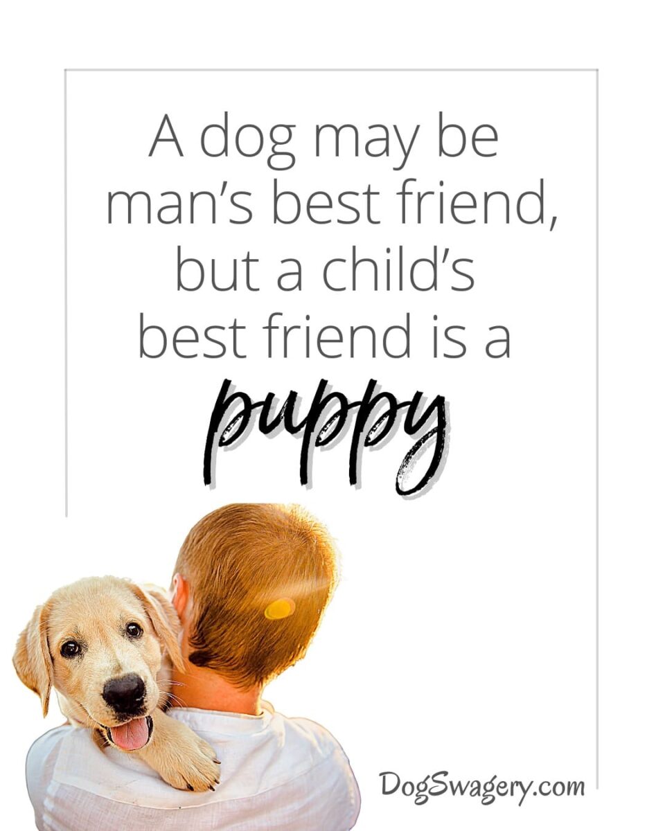 Dog Quotes about Puppies: A dog may be man’s best friend, but a child’s best friend is a puppy.