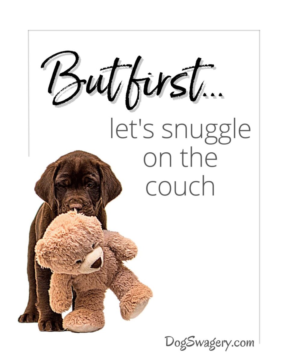 Dog Quotes about Puppies: But first, let's snuggle on the couch.